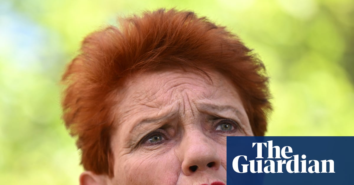 Labor MP warns Liberals against chasing One Nation down ‘racist rabbit hole’ | Pauline Hanson