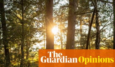 The Guardian view on risks from biodiversity collapse: warnings must be heeded before it’s too late | Editorial