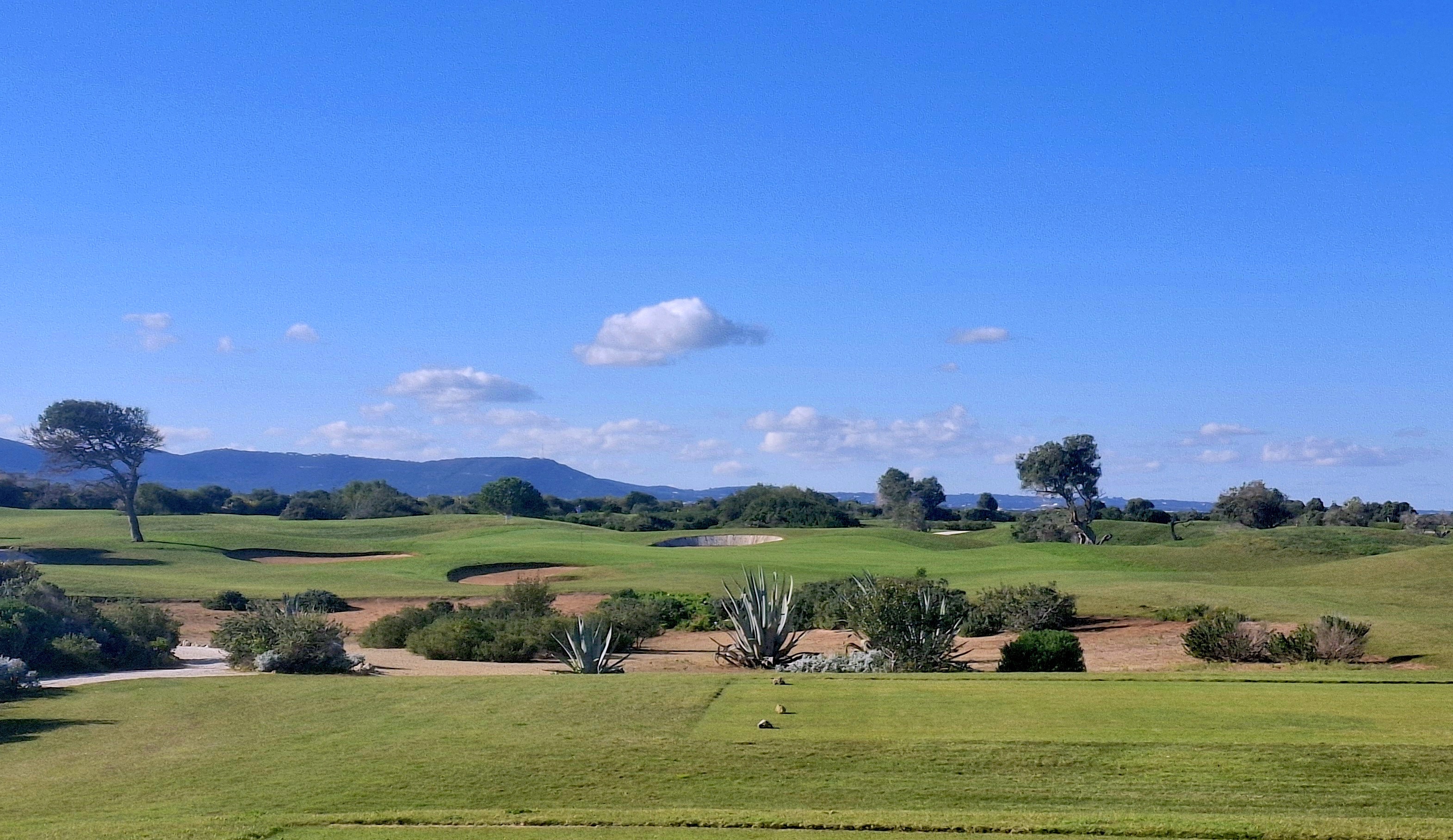 The par-3 13th at San Domenico