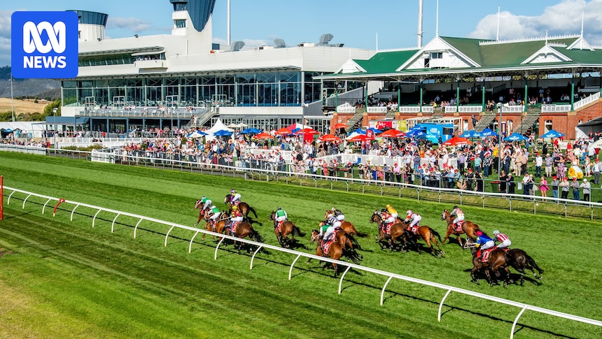 Hobart Cup result under investigation after Elwick course 37 metres short