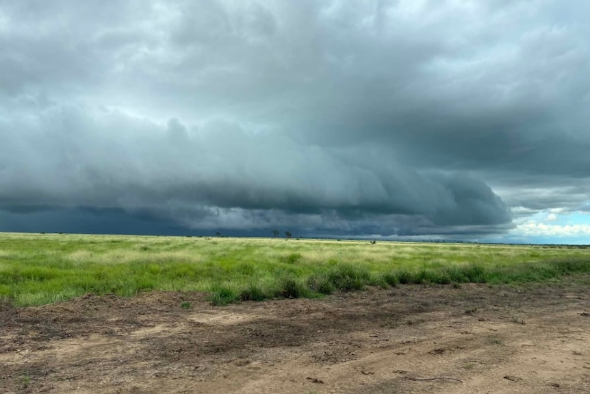 Dark clouds roll in over a paddock.