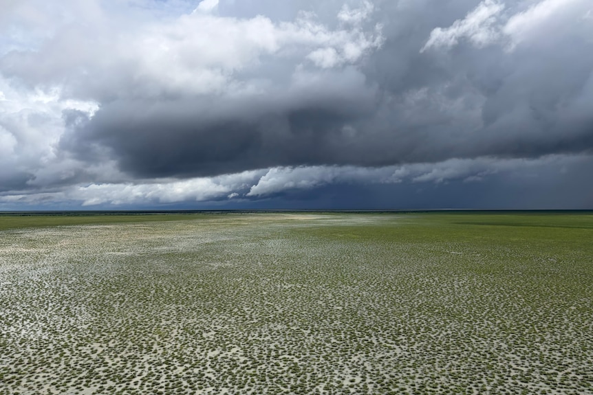 Treetops remain visible in floodwater across a vast distance, under dark looming storm clouds