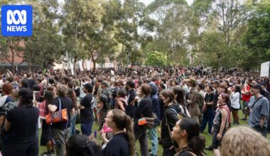 Hundreds rally against police response to night of violent protest clashes in Sydney