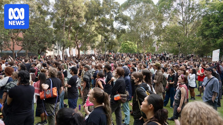 Hundreds rally against police response to night of violent protest clashes in Sydney