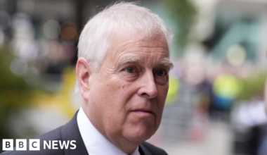 Lib Dems in bid to release files on Andrew trade role - BBC