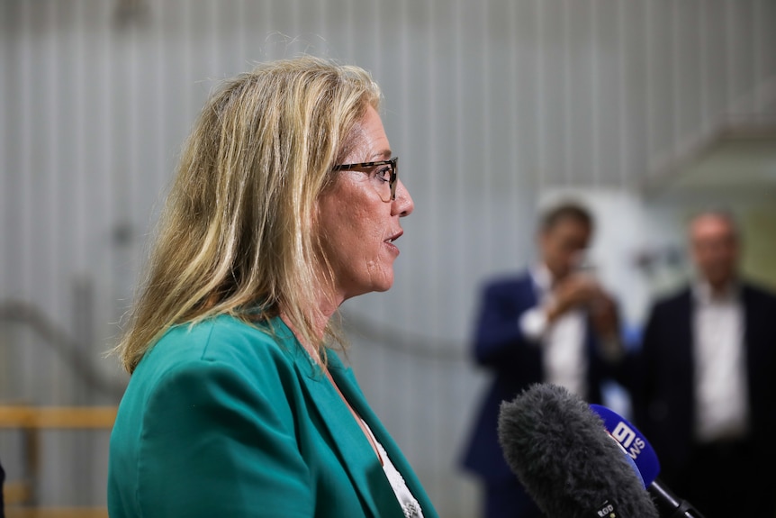A side-on close-up shot of WA Deputy Premier and Treasurer Rita Saffioti speaking into microphones at a media conference.