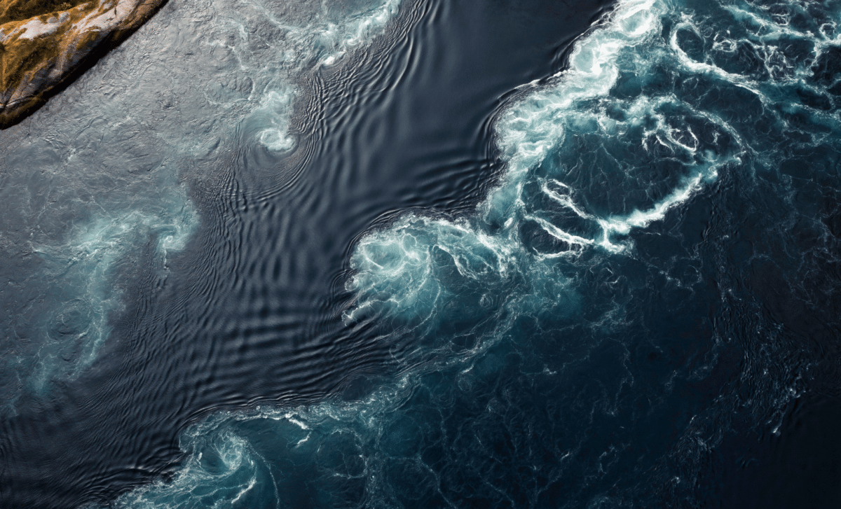 5 Million Year Old Crustaceans Unveil Ancient Ocean Routes Across The North Pacific