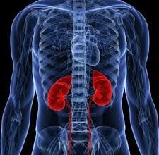 Test Detects Deadly Chronic Kidney Disease Complication