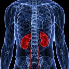 Test Detects Deadly Chronic Kidney Disease Complication