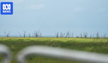 Extreme heat will make Northern Territory unlivable within 40 years, activists warn