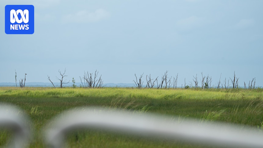 Extreme heat will make Northern Territory unlivable within 40 years, activists warn