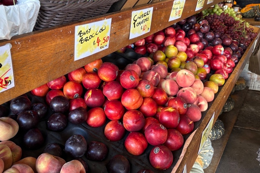 A display market stall display of fresh produce, including plums, nectarines and peaches.