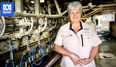 Queensland dairy industry celebrates an end to decades of decline with new plan
