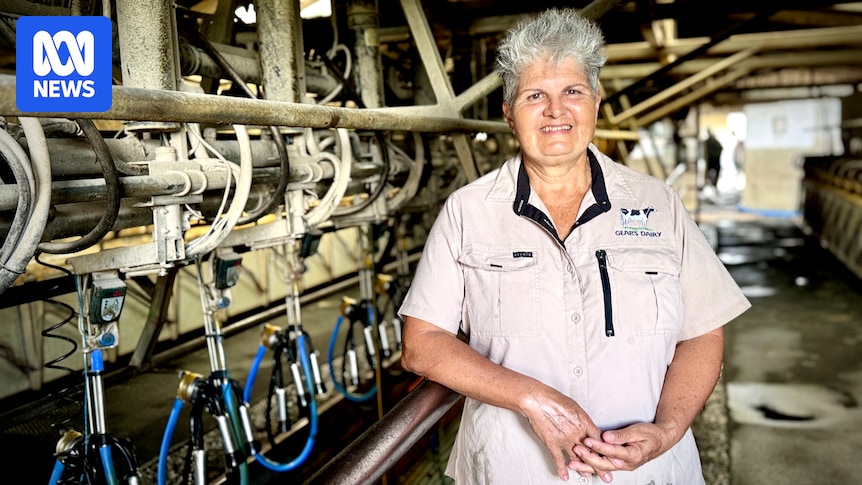 Queensland dairy industry celebrates an end to decades of decline with new plan