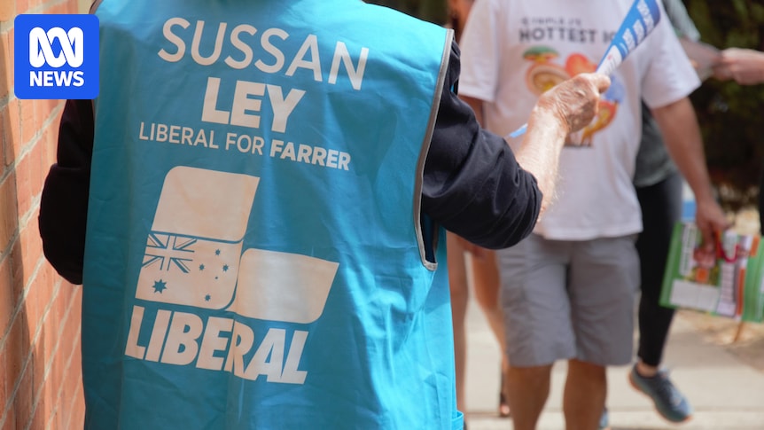 Residents in conservative Farrer eye future without Sussan Ley