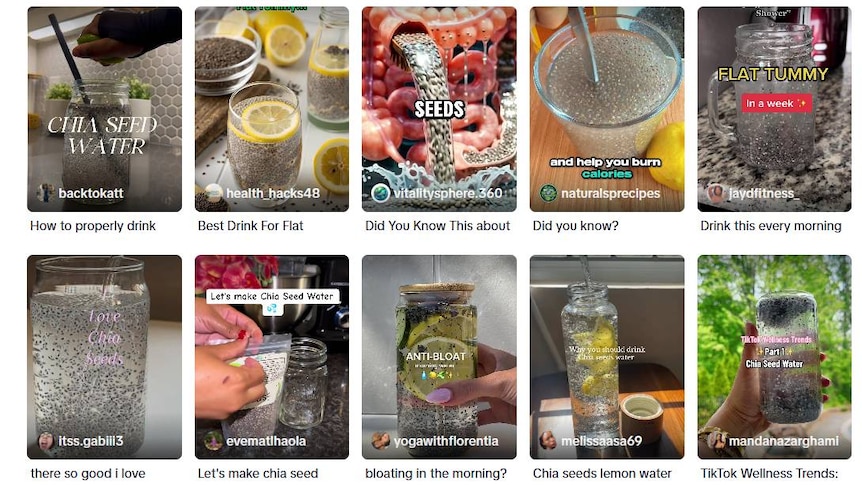 screenshot of multiple tiktok videos about consuming chia seeds 