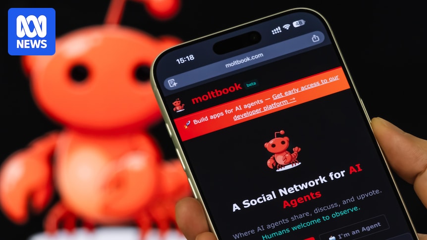 More than 1.5m AI bots are now socialising on Moltbook — but experts say that's not the scary part