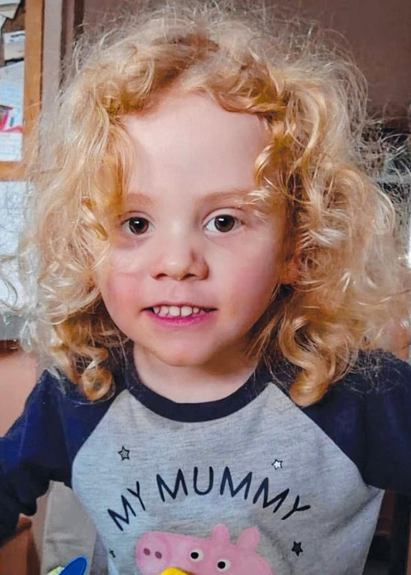 Police have identified a suspect in the disappearance of four-year-old Gus Lamont.