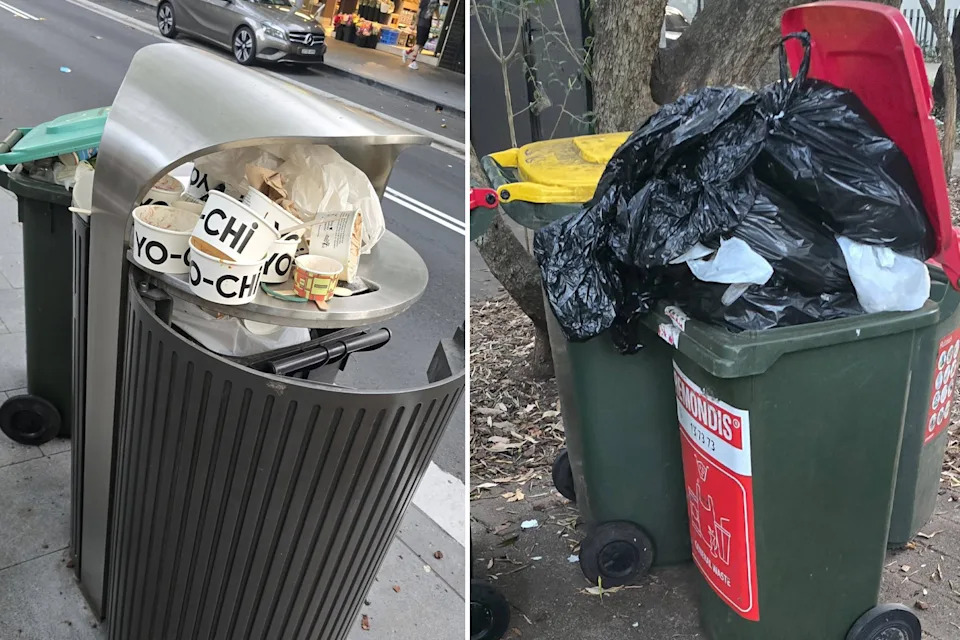 Overflowing commercial bins pictured on Crown Street, Surry Hills. 