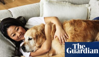 RecipeTin Eats founder farewells Dozer the golden retriever: ‘I will love you and miss you forever’ | Australian food and drink