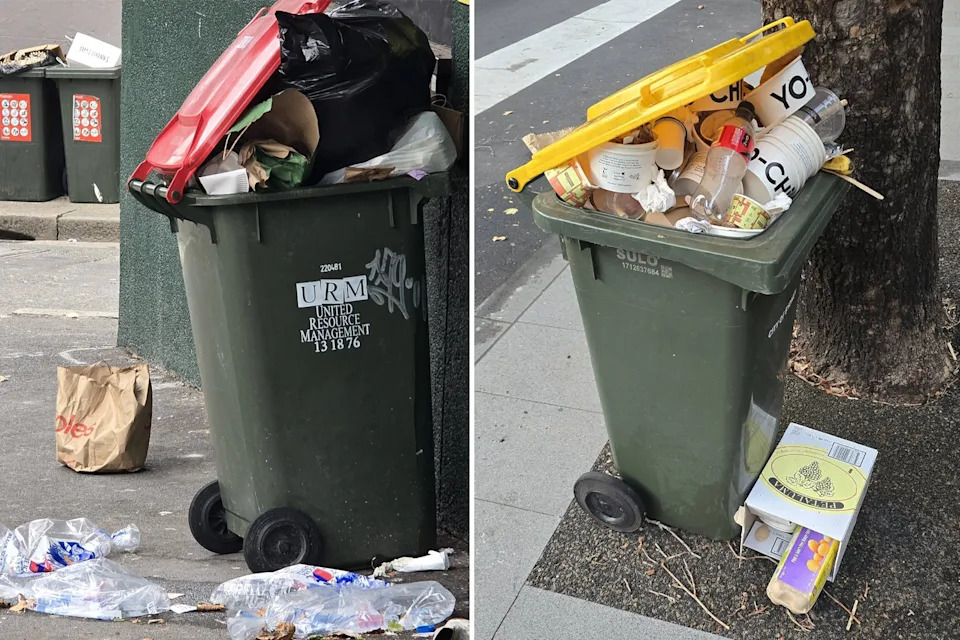Overflowing commercial bins pictured on Crown Street, Surry Hills. 