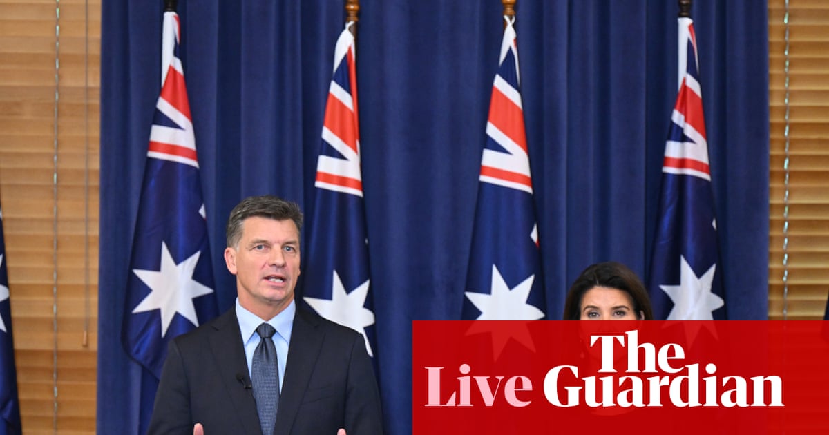 Australia politics live: Angus Taylor targets immigration in first address as Liberal leader; Pauline Hanson says ‘different jockey, same dead horse’ | Australia news