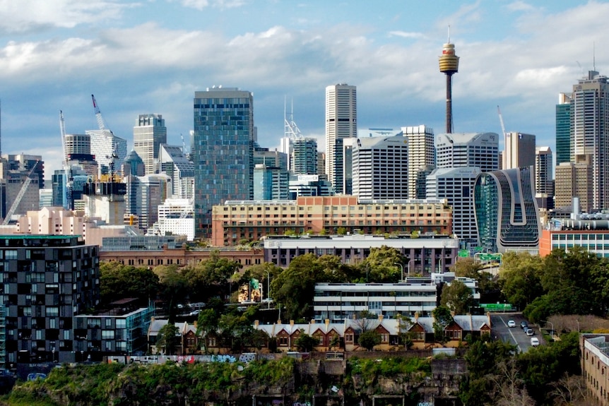 A view over Sydney City showing greenary and high rises and towers, blue sky with clouds.