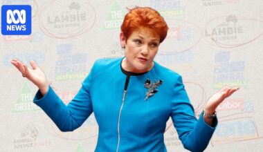 What young people think of One Nation's rising popularity