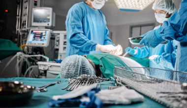 Subscribe to The Australian | Newspaper home delivery, website, iPad, iPhone & Android apps