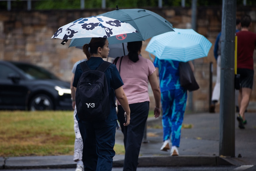 People standing under umbrellas.
