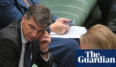 Angus Taylor supporters expect him to challenge Sussan Ley for Liberal leadership within days | Coalition
