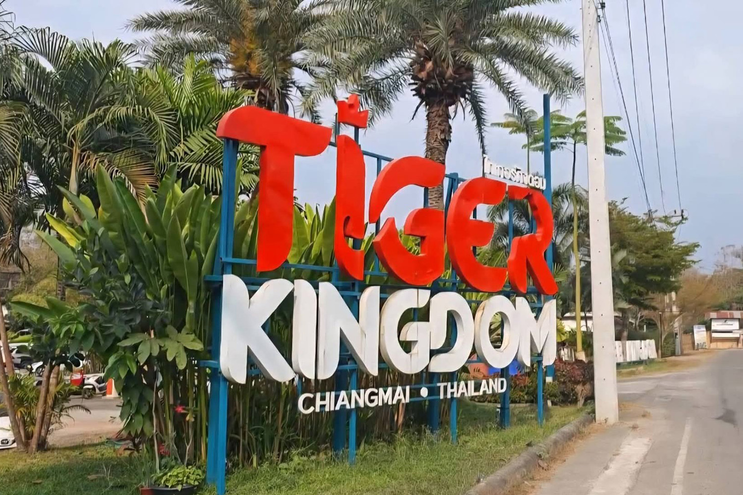The sign at the entrance of the Tiger Kingdom, located on Mae Rim Road in Chiang Mai, which is currently closed to contain the outbreak. (Photo: Panumate Tanraksa)