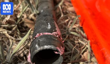 Man accused of manufacturing pipe bombs in Canberra pleads not guilty