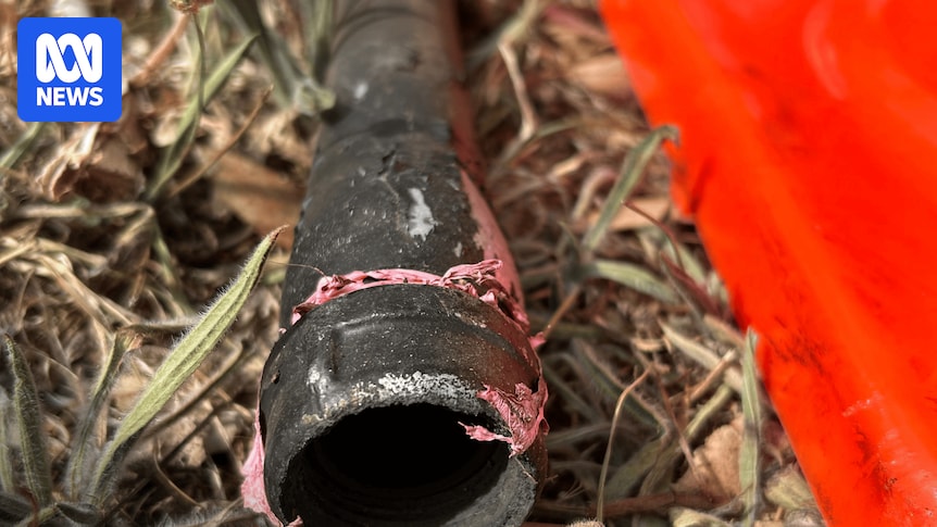 Man accused of manufacturing pipe bombs in Canberra pleads not guilty