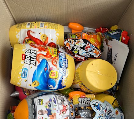 Twenty-four reptiles – including 14 shingleback skinks, three eastern blue-tongues, three lace monitors, and four children’s pythons – were found hidden in toy containers.