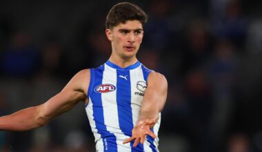 Harry Sheezel reveals role, position, exclusive interview, Finn O’Sullivan breakout, latest North Melbourne news
