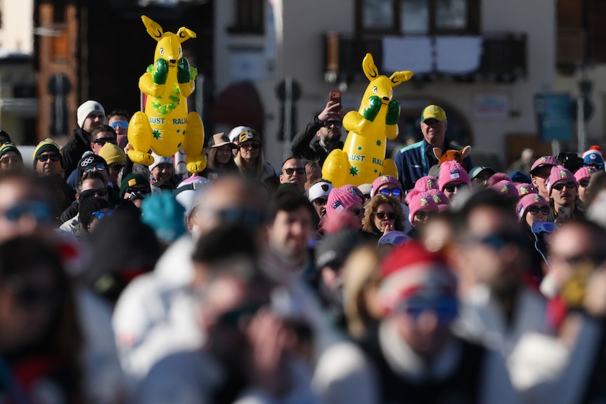 Australian fans with blow up kanagaroos