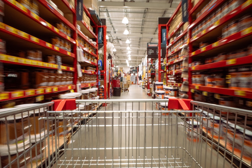 A shot from inside a trolley as it moves down an aisle of a Bunnings store. The shelves on either side are full of paint tins.