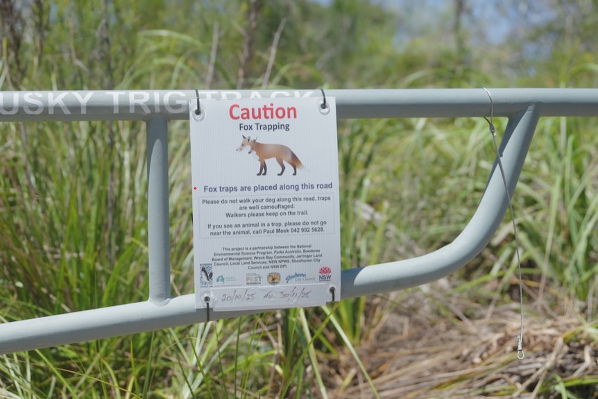signage on a fence warning of fox traps