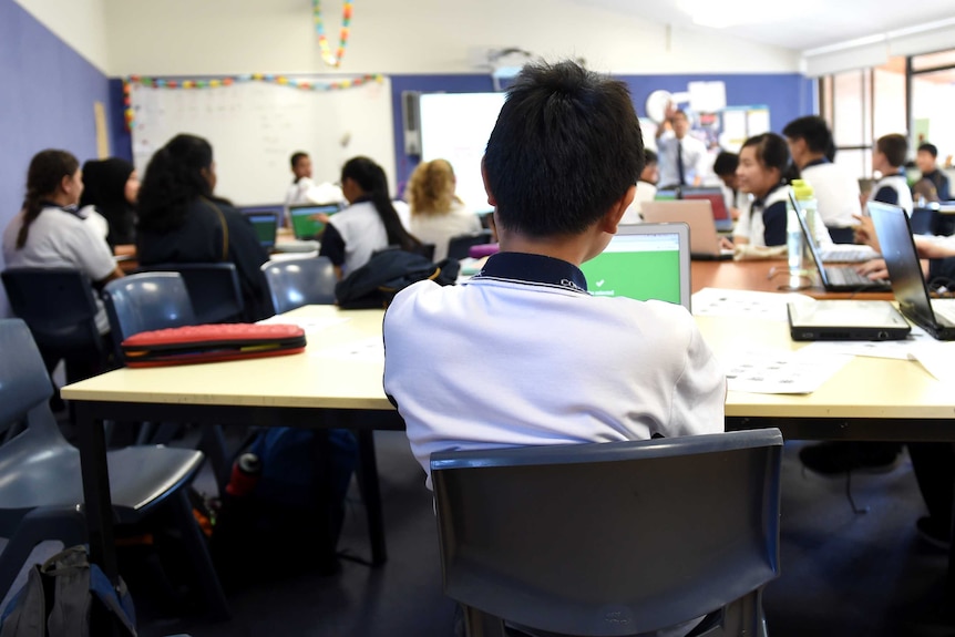 A student sits with his back turned to the camera facing the front of a classroom with other students in the background.