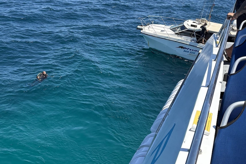A scuba diver in the water with the side of two boats visible nearby.