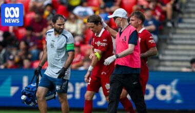 Craig Goodwin's World Cup hopes cop hammer blow after groin injury