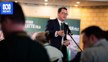 Claims of 'racist' comment in WA parliament after Chinese New Year event