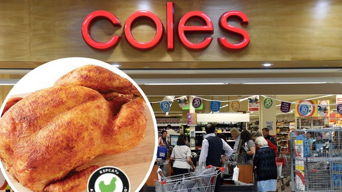 Coles ranked in last for their roast chicken, being beaten by Woolworths, Costco, and IGA.. 