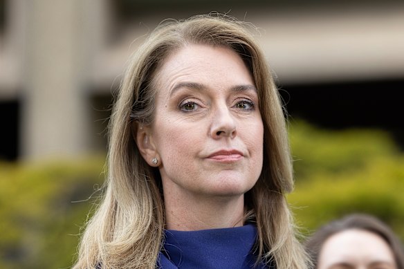 NSW Opposition Leader Kellie Sloane is among many Liberal leading women.