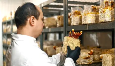 Food Ingredients First logo