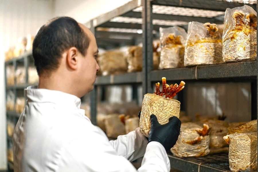 Food Ingredients First logo