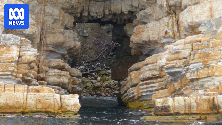 Four teenage boys credited with saving three swept out by rip at Tasmanian beach