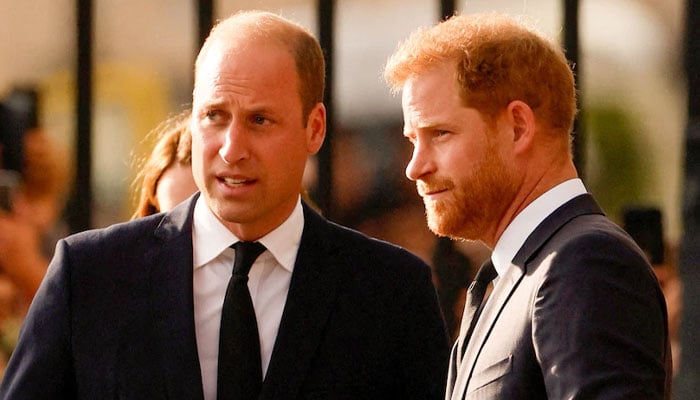 Prince Harry, Prince William physical fight: Surprising truth exposed