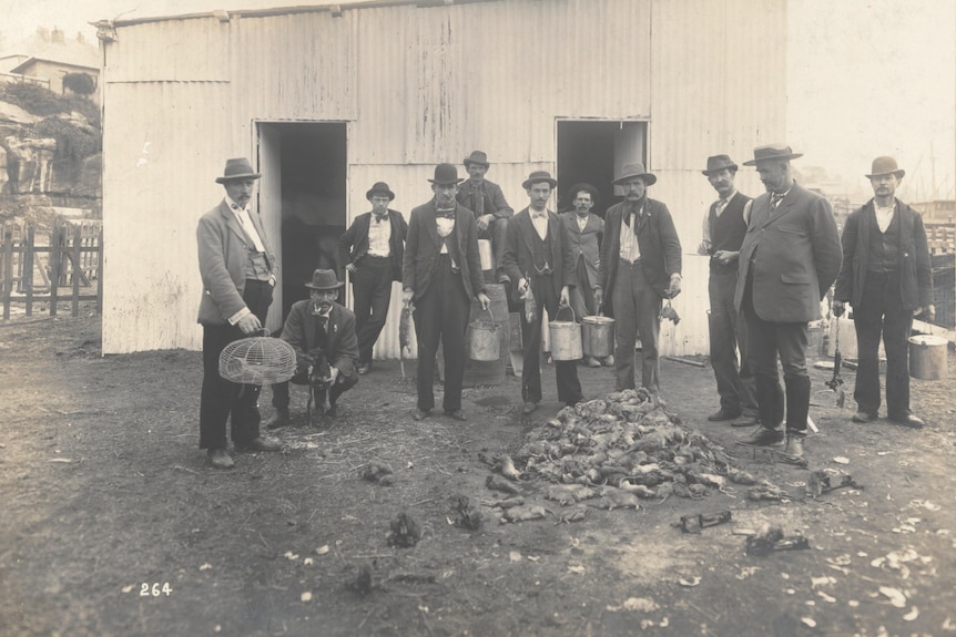 An old black and white photograph of 11 men in working suits and period hats standing outside next to pile of rats.